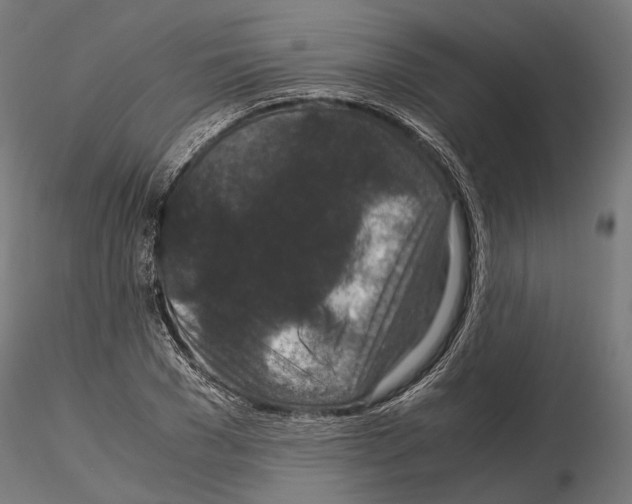 X0000115120977200912081340