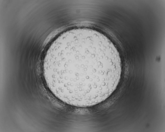 X0000115120978200912081340