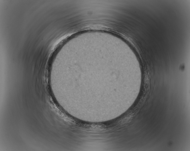 X0000115120979200912081340