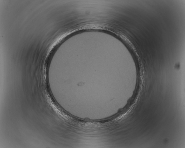 X0000115120981200912081340