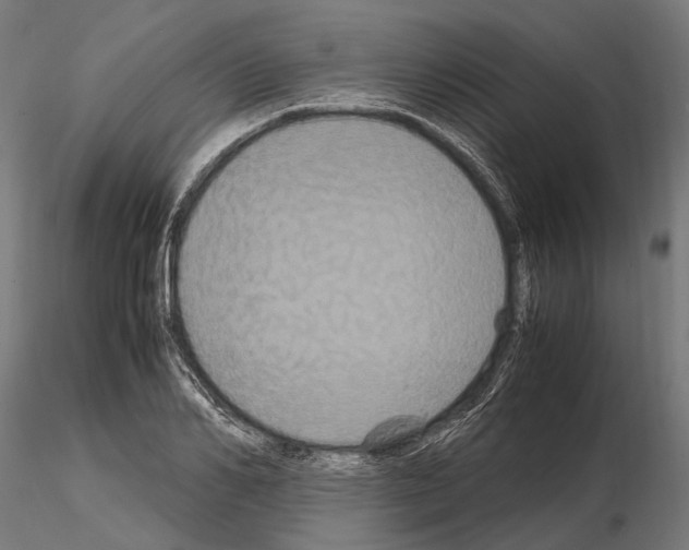 X0000115120982200912081340