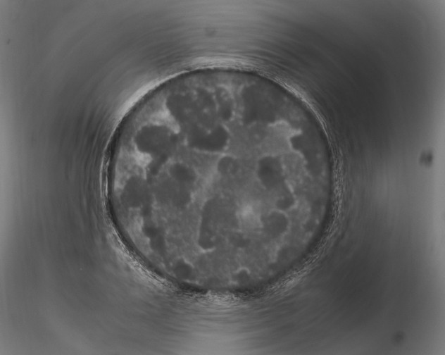 X0000115120983200912081340