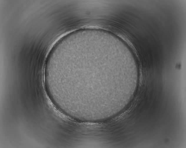 X0000115120984200912081340