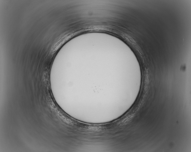 X0000115120985200912081340