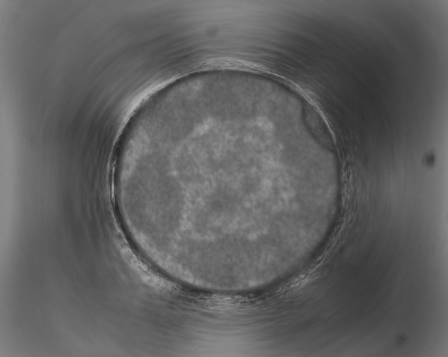 X0000115120987200912081340