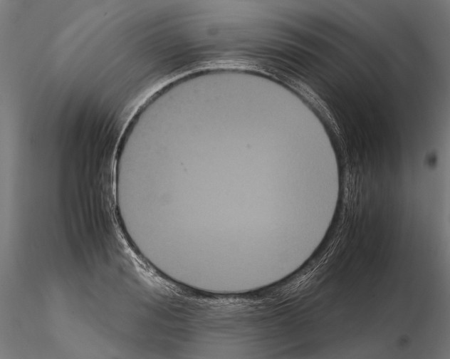 X0000115120988200912081340