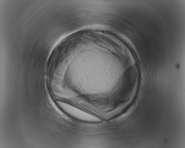 X0000115120989200912081340