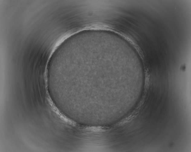 X0000115120990200912081340