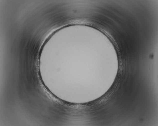 X0000115120992200912081340