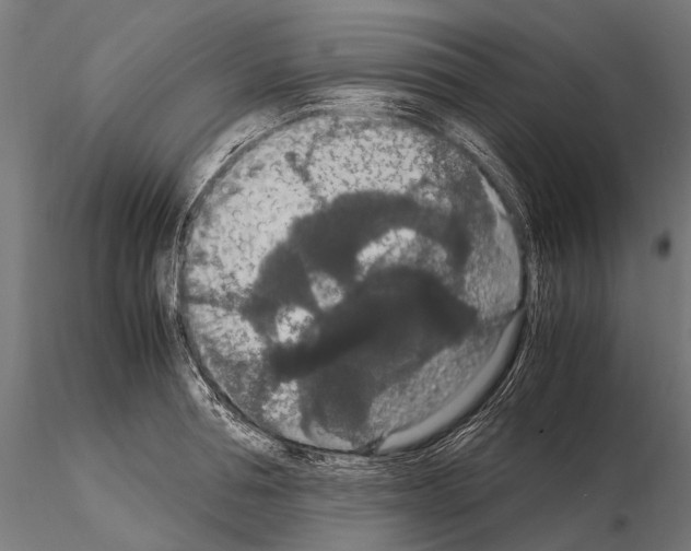 X0000115120994200912081340