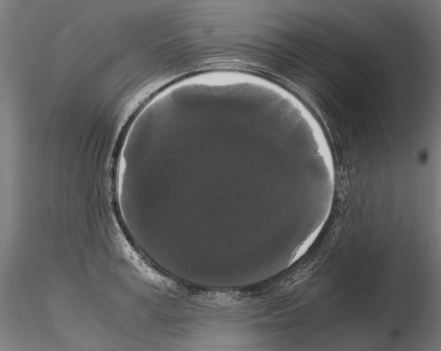 X0000115120995200912081340