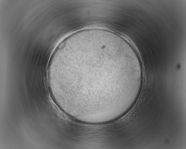 X0000115120996200912081340