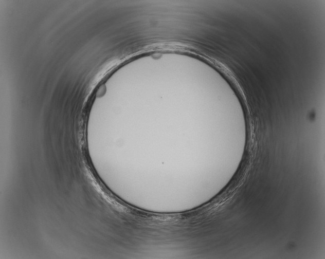 X0000115120997200912081340