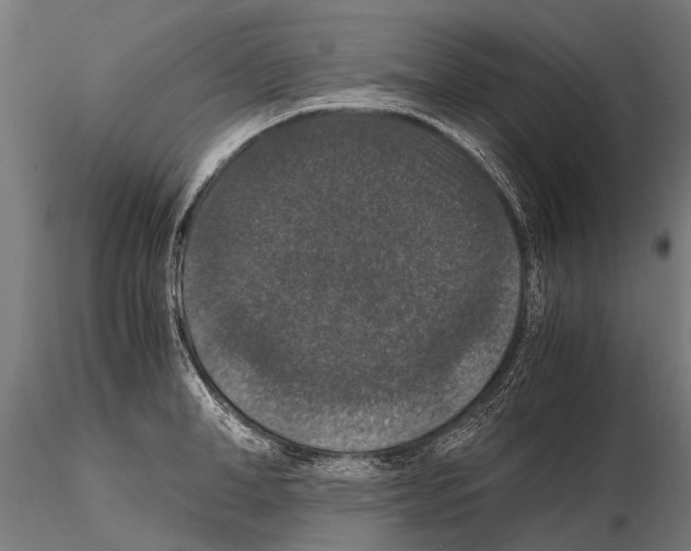 X0000115120998200912081340