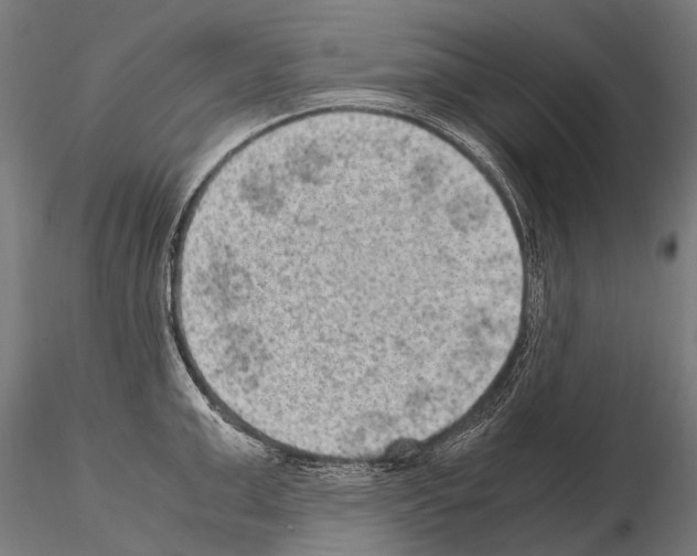 X0000115120999200912081340