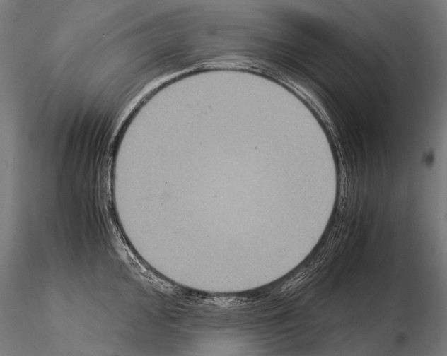 X0000115121000200912081340