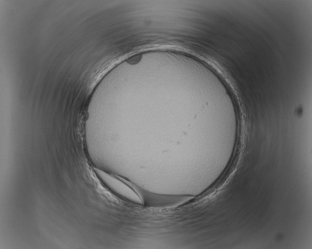 X0000115121001200912081340