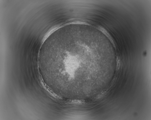 X0000115121002200912081340