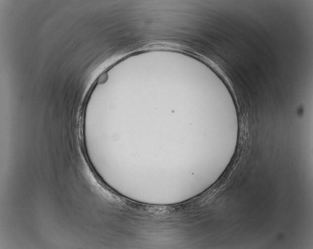 X0000115121003200912081340