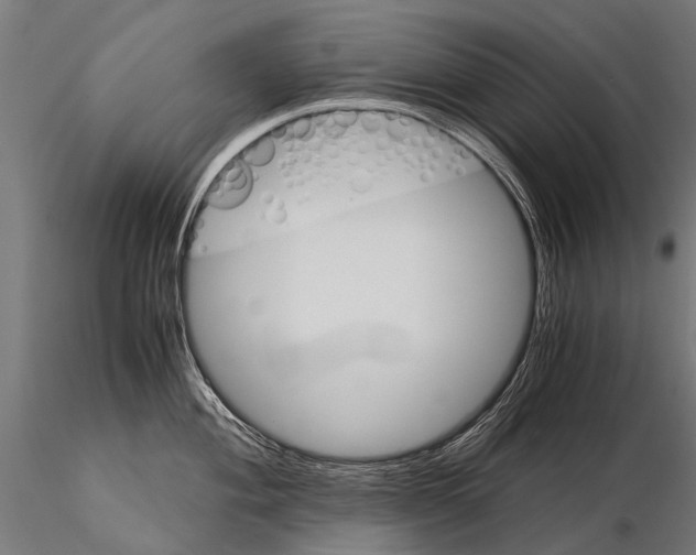 X0000115121004200912081340