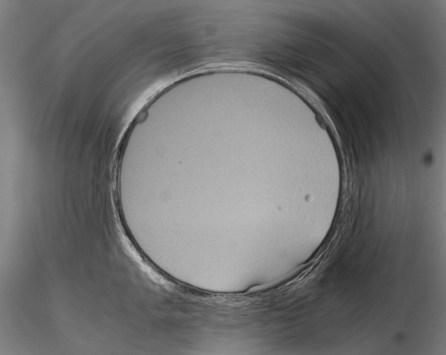 X0000115121005200912081340