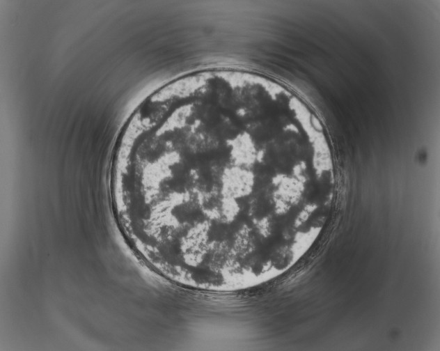 X0000115121007200912081340