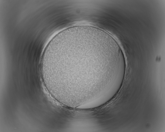 X0000115121008200912081340