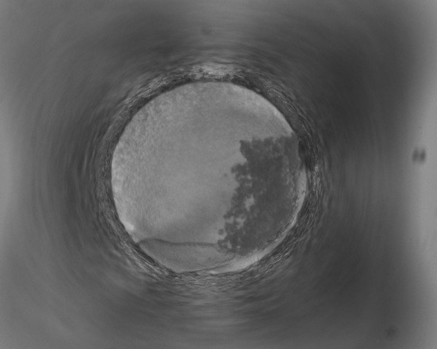 X0000115121009200912081339