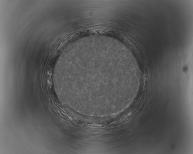 X0000115121010200912081339