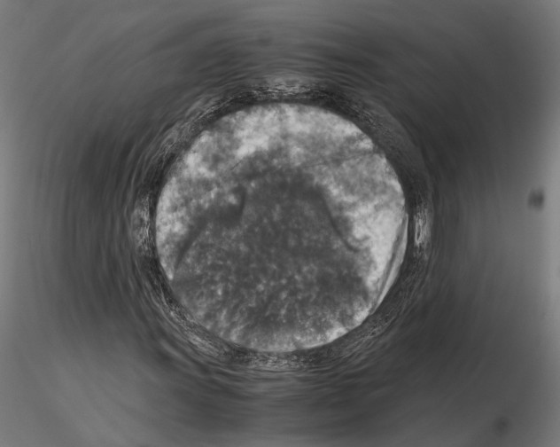 X0000115121011200912081339