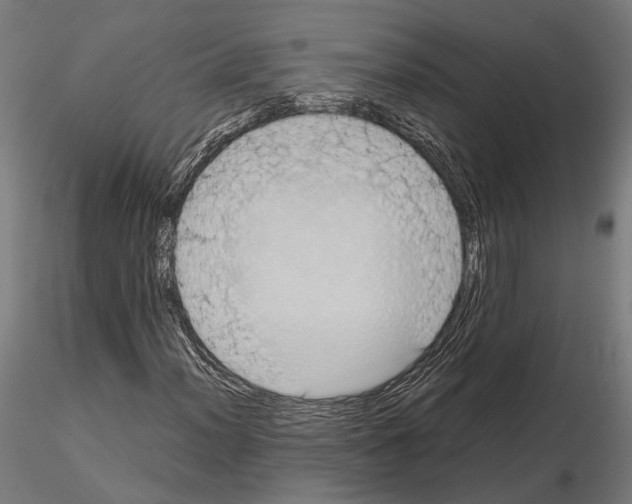 X0000115121012200912081339