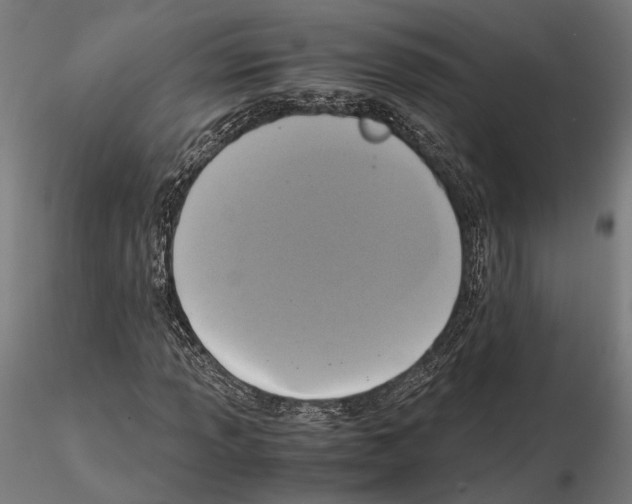 X0000115121013200912081339