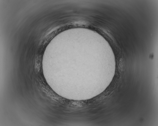 X0000115121015200912081339