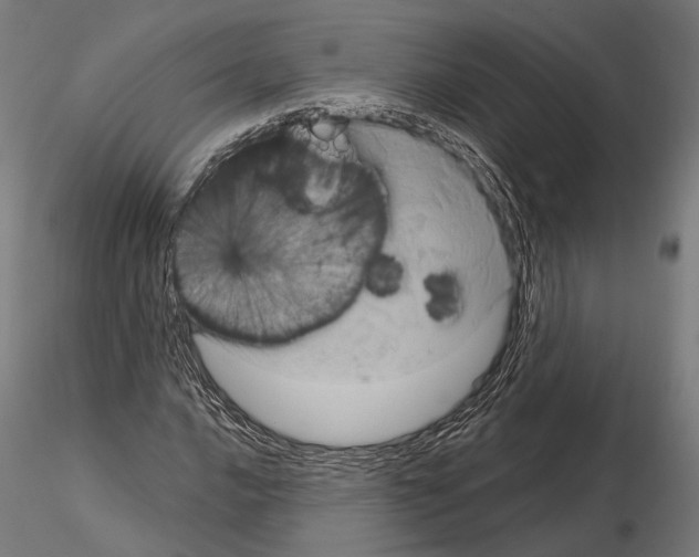 X0000115121016200912081339