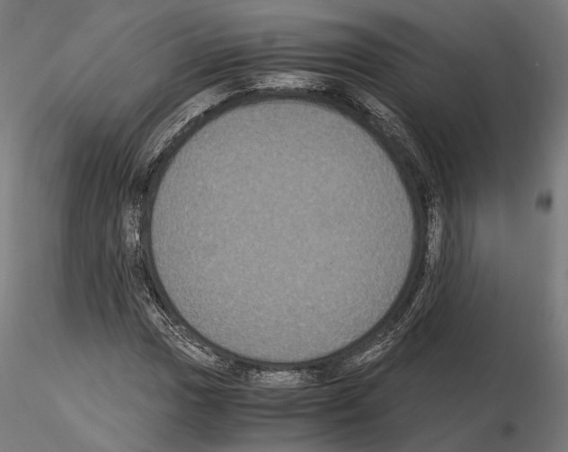 X0000115121017200912081339