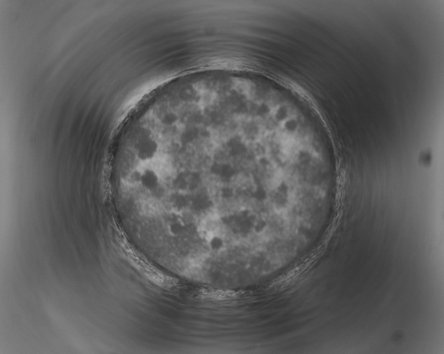 X0000115121019200912081339