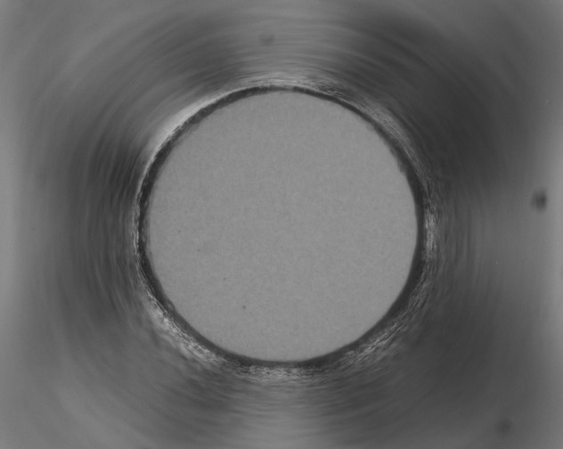 X0000115121020200912081339