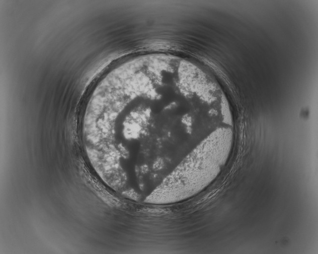 X0000115121023200912081339