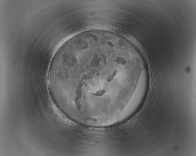 X0000115121028200912081339