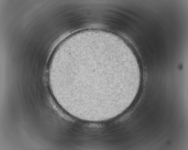 X0000115121029200912081339