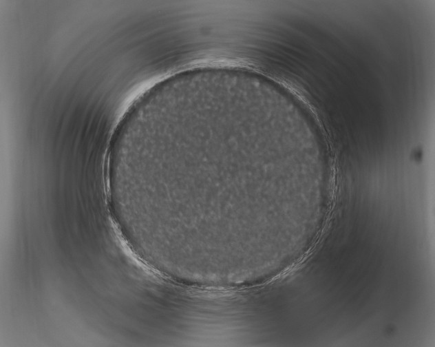 X0000115121030200912081339