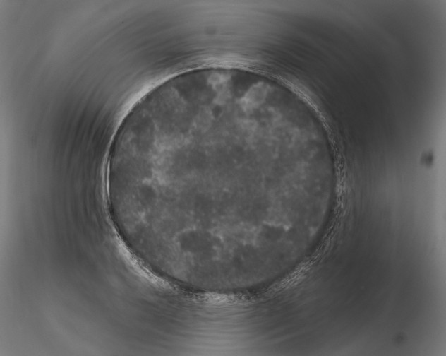 X0000115121032200912081339