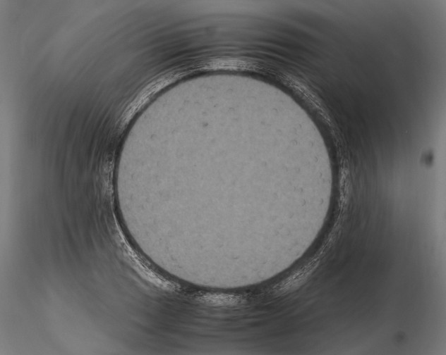 X0000115121033200912081339