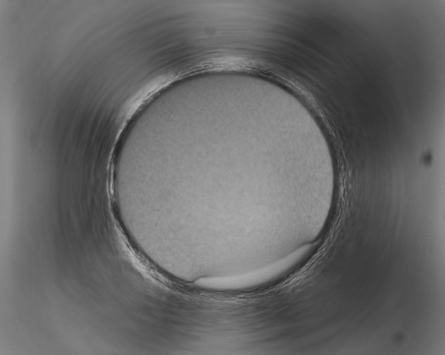 X0000115121034200912081340