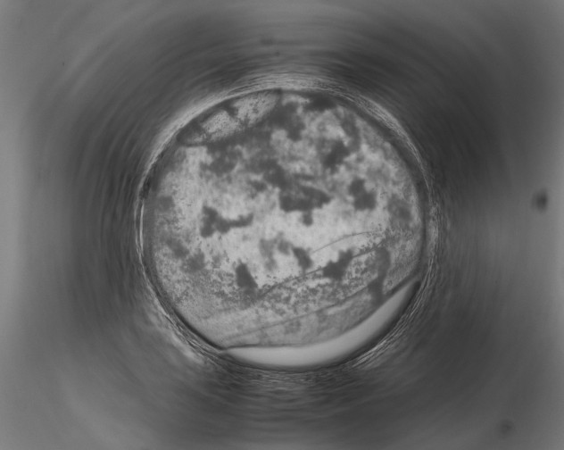 X0000115121035200912081340