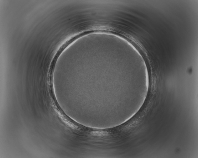 X0000115121037200912081340