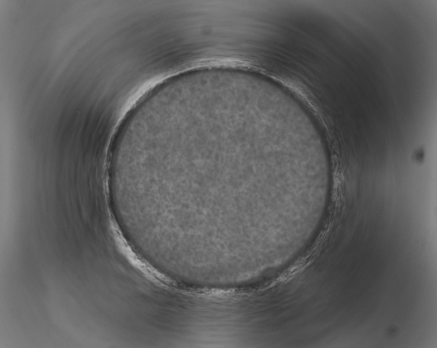 X0000115121038200912081340