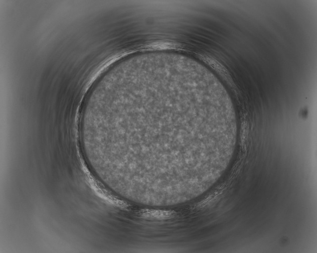 X0000115121039200912081340