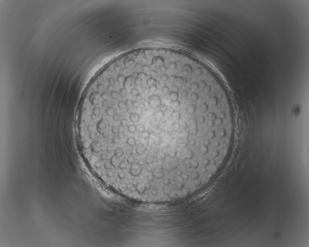 X0000115121040200912081340