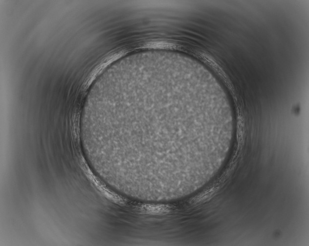 X0000115121041200912081340